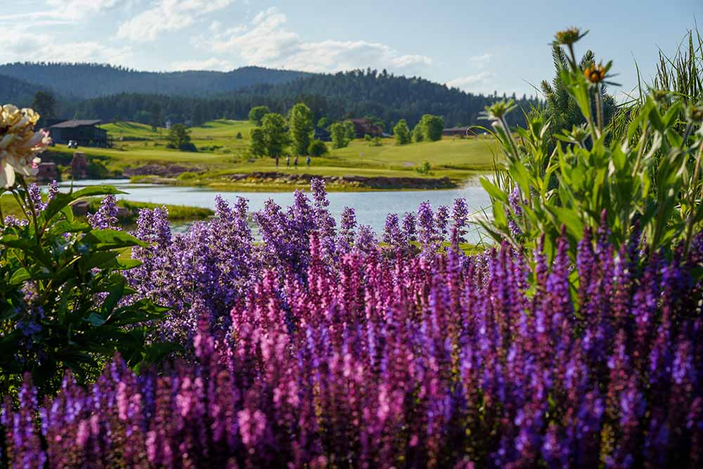 flowers on the golf course